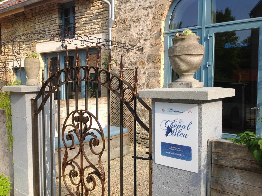 Au Cheval Bleu Bed & Breakfast Fontenay-près-Vézelay Exterior foto